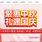 华纳云优惠促销，服务器全场2.3折起，1核1G 2M CN2云服务器低至24元/月