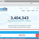 国外知名ICANN认证域名服务商Namesilo注册教程