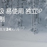 Megalayer服务商介绍：提供VPS/云服和独立服务器，VPS可按需选配置，低至24元/月