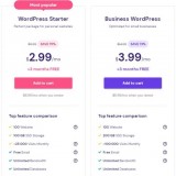 Hostinger针对WordPress主机推出促销活动，最高可享75%优惠低至$2.99/月，现在购买赠送三个月