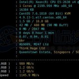 OneVPS怎么样？OneVPS新加坡VPS性能和速度评测